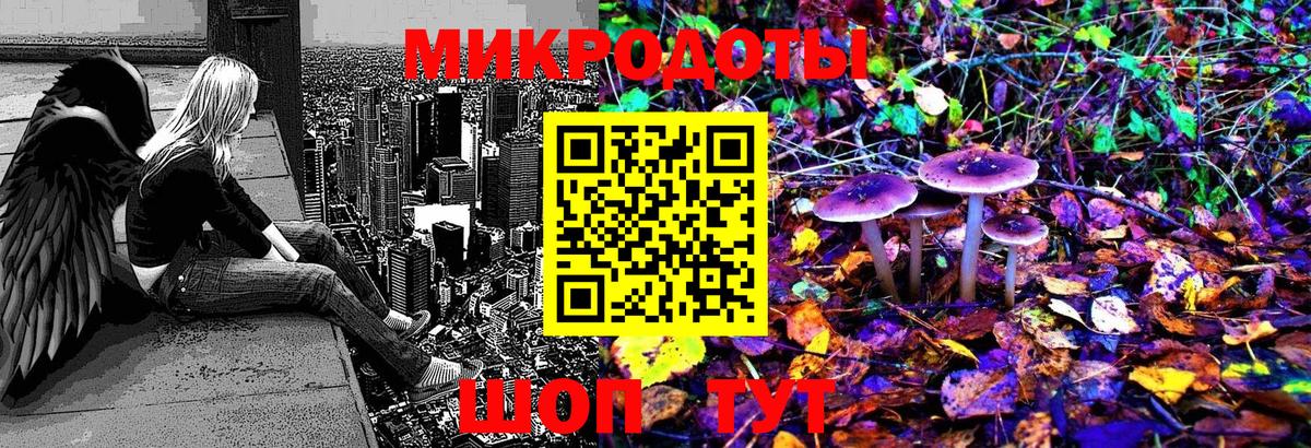 Псилоцибиновые грибы Psilocybe Соль-Илецк