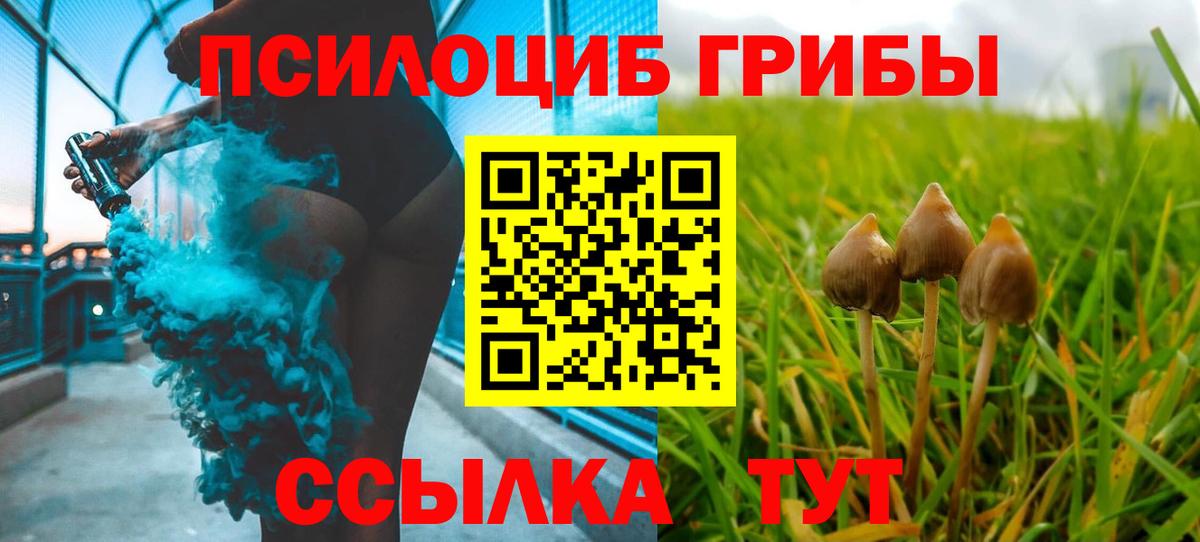 Соль-Илецк  Псилоцибиновые грибы Magic Shrooms  Псилоцибиновые грибы GOLDEN TEACHER  что такое   Вход с VPN 