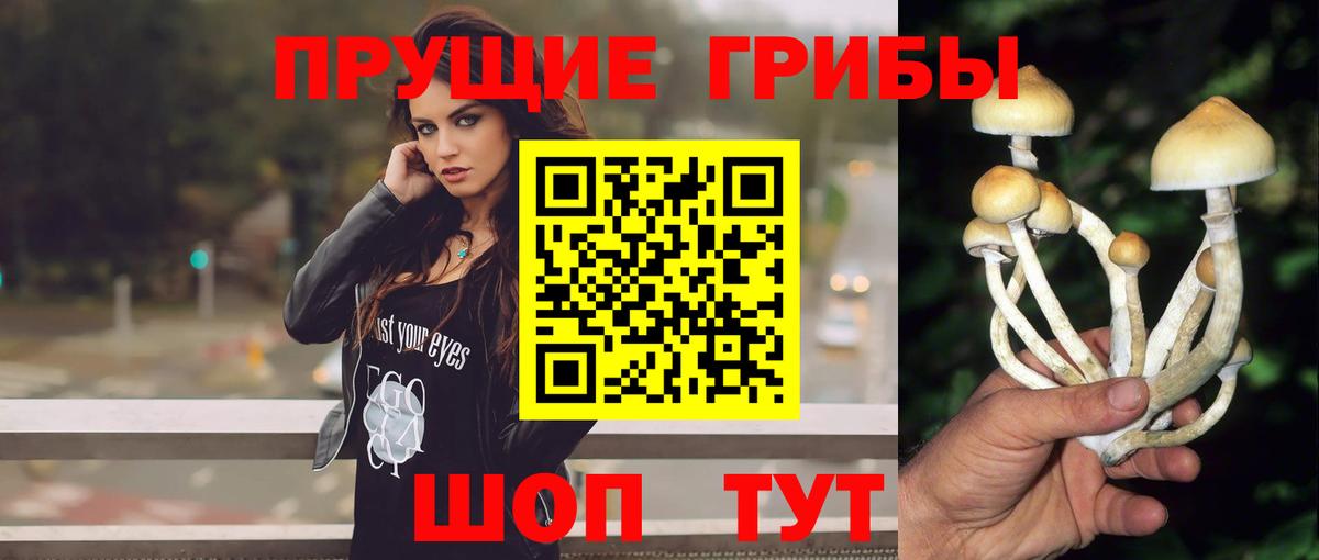 МЕФ кристаллы  Соль-Илецк  Cocaine  ЭКСТАЗИ  Бошки Шишки  Вход с VPN  Гашиш 