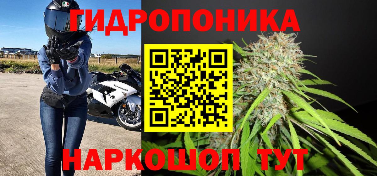 Бошки марихуана THC 21%  МАРИХУАНА Ganja  Вход с VPN  Бошки марихуана конопля  МАРИХУАНА SATIVA & INDICA  Соль-Илецк 